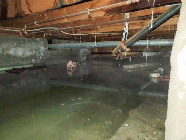 Best Basement water damage restoration  in New Bedford, MA