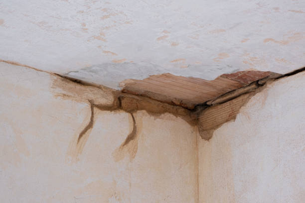 Best Mold removal after water damage  in New Bedford, MA