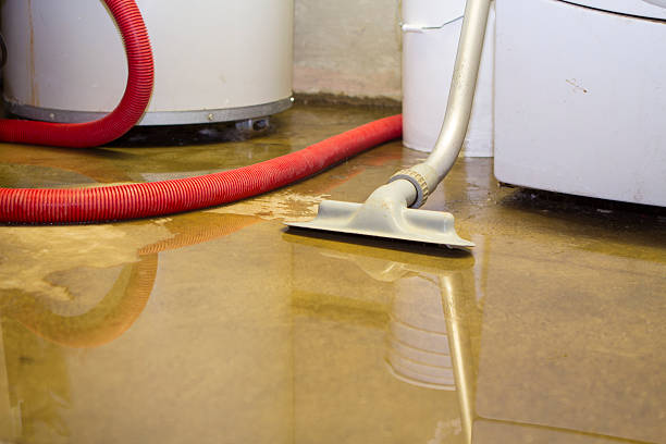 Best Water damage restoration near me  in New Bedford, MA