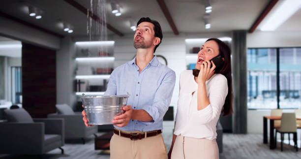 Best Flood restoration services  in New Bedford, MA