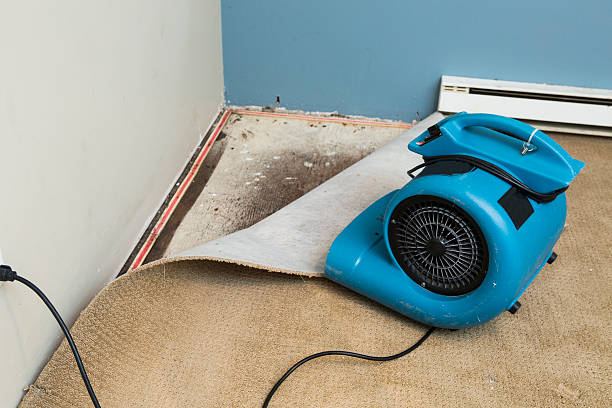 Best Water damage contractors near me  in New Bedford, MA
